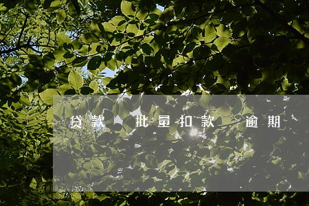 贷款 批量扣款 逾期 贷款 批量扣款 逾期